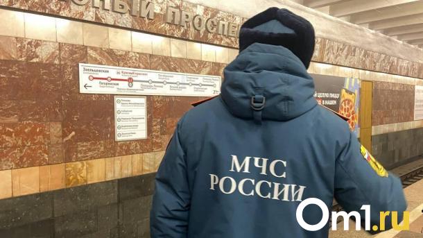 Число пожаров в Новосибирской области сократилось на 40 % в 2024 году