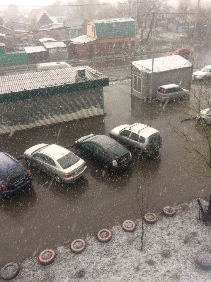 Омск выпал снег. В Омске выпал снег. В Омске выпал снег сегодня. Снег в июне в Омске фотографии. Снегопад в Омске сегодня фотографии.