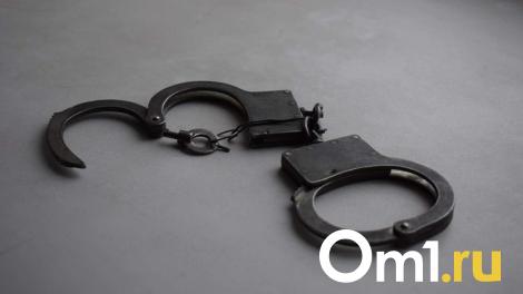 В Омске будут судить мужчину, который за два месяца совершил 12 преступлений