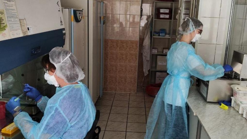 Омские фтизиатры открыли новый метод диагностики туберкулёза