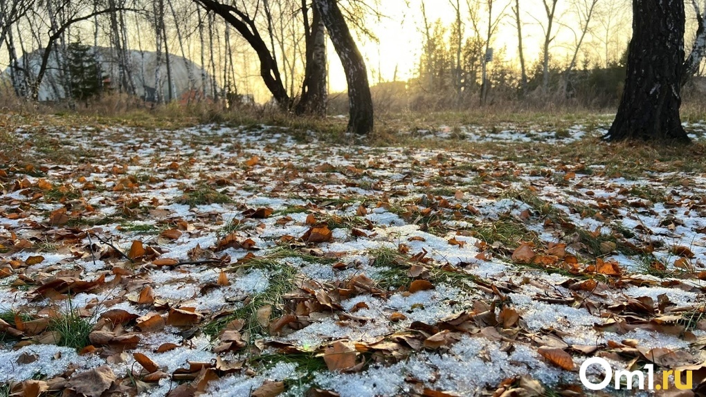 К концу недели в Омскую область придёт настоящая зима