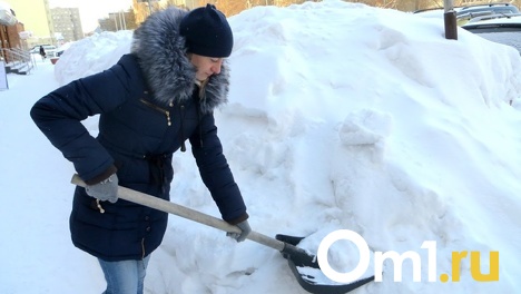 Когда станут чистыми улицы? Мэр Новосибирска Анатолий Локоть потребовал очистить дороги в течение суток