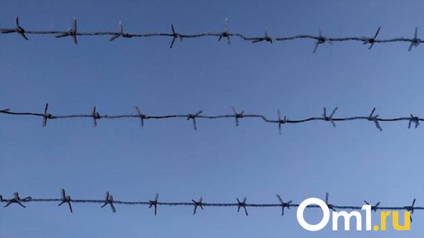 Омские заключённые начали изготавливать железобетонные скульптуры