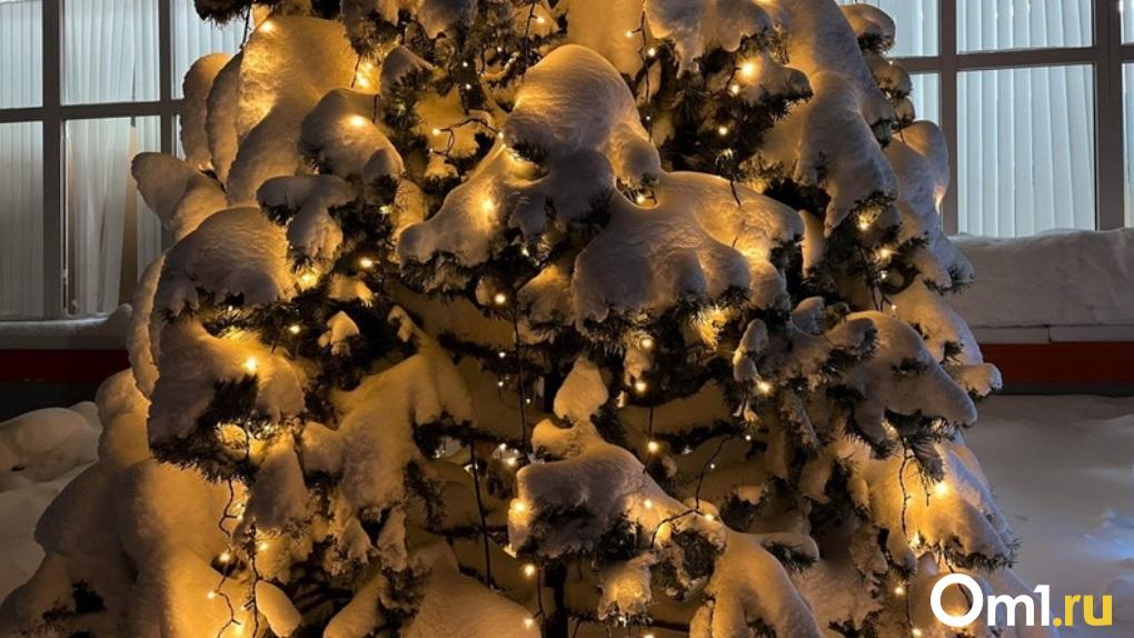 Синоптики рассказали о погоде в Омске на Новый год