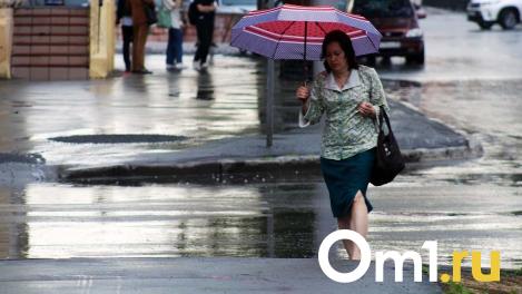 В МЧС выпустили предупреждение: к Омску приближается буря