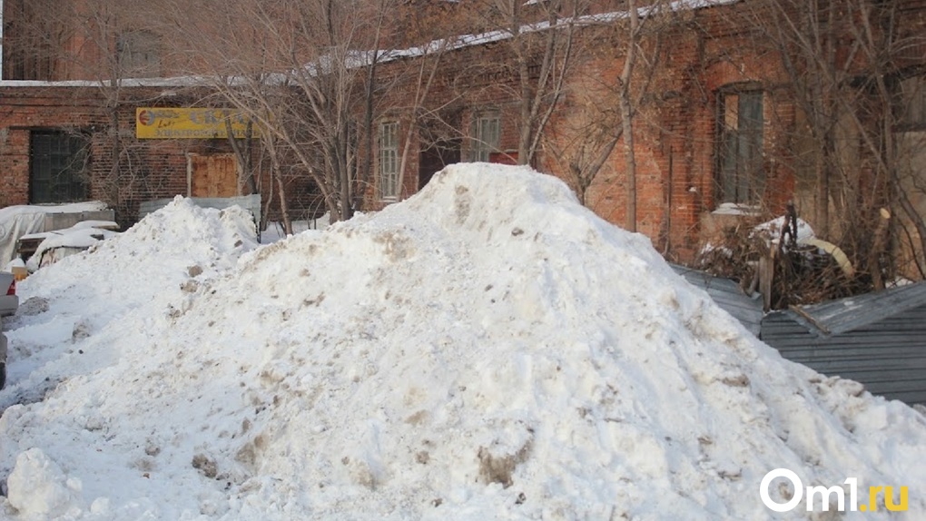 Мэр Сергей Шелест планирует построить в Омске снегоплавильную станцию
