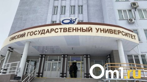 В Омске уничтожили живую изгородь у второго корпуса ОмГУ