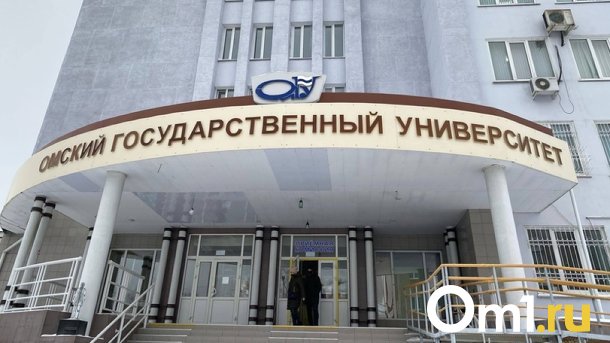 В Омске уничтожили живую изгородь у второго корпуса ОмГУ