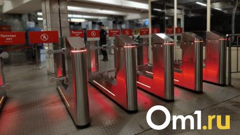 Метрополитен Новосибирска потратит почти семь миллионов на кинологов с собаками