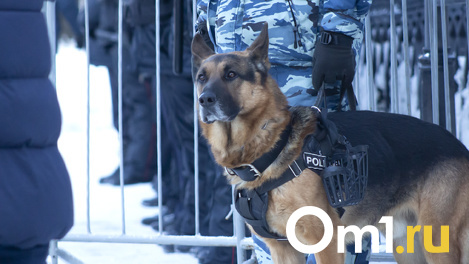 Обострение ситуации на Донбассе. Что происходит в Украине 21 февраля? LIVE