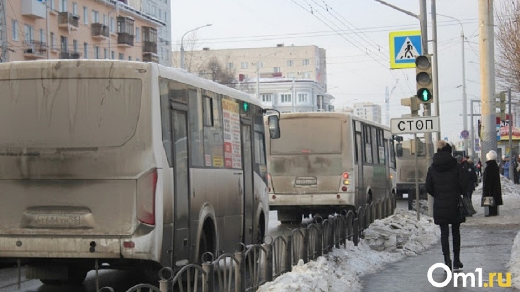 В Омске через полгода исчезнет разница между автобусами и маршрутками