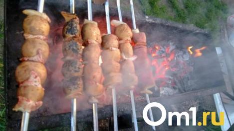 За шашлык на балконе омичей могут отправить в тюрьму