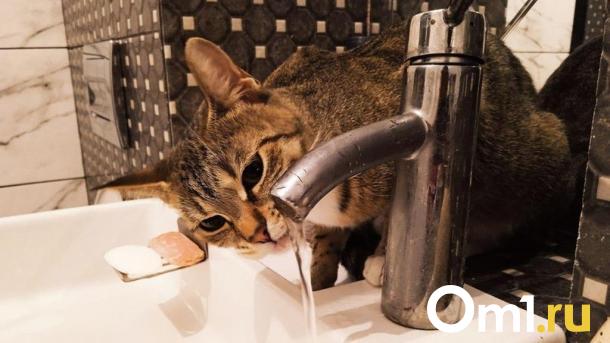 В Омске планируются отключения воды 11 и 16 июля: адреса