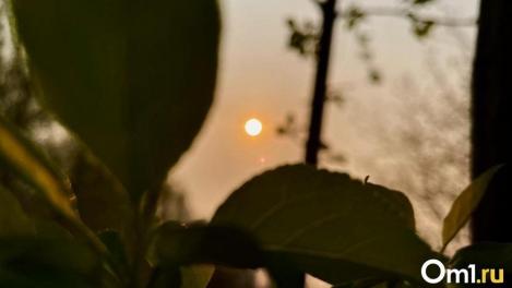 Кроме мощной жары омичей ждёт ещё одна напасть