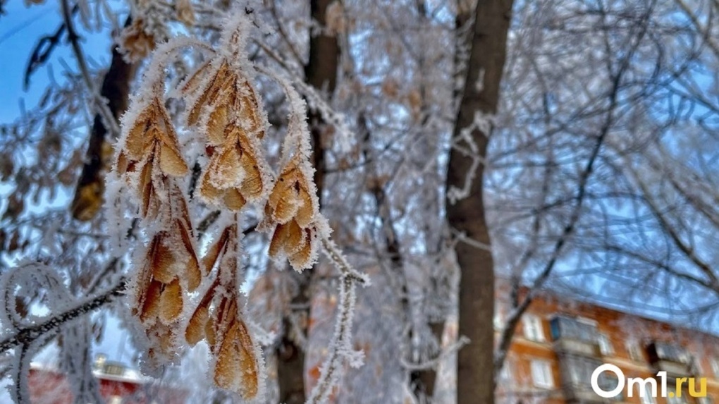 МЧС предупредило новосибирцев о сильных морозах до -33 градусов