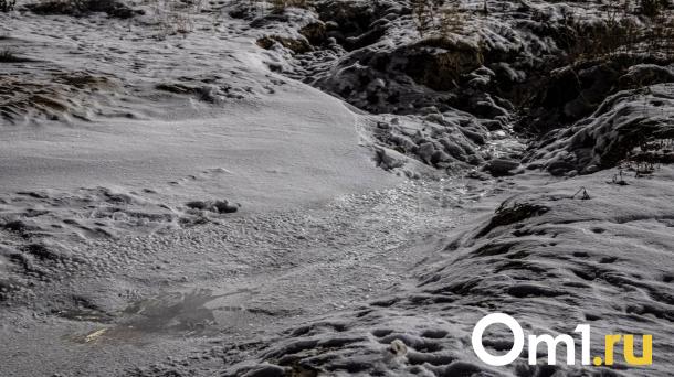 В Минприроды отреагировали на чёрный пепел в Омске