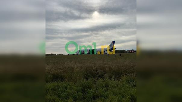 Вокруг севшего на поле под Новосибирском самолета планируют убрать пшеницу