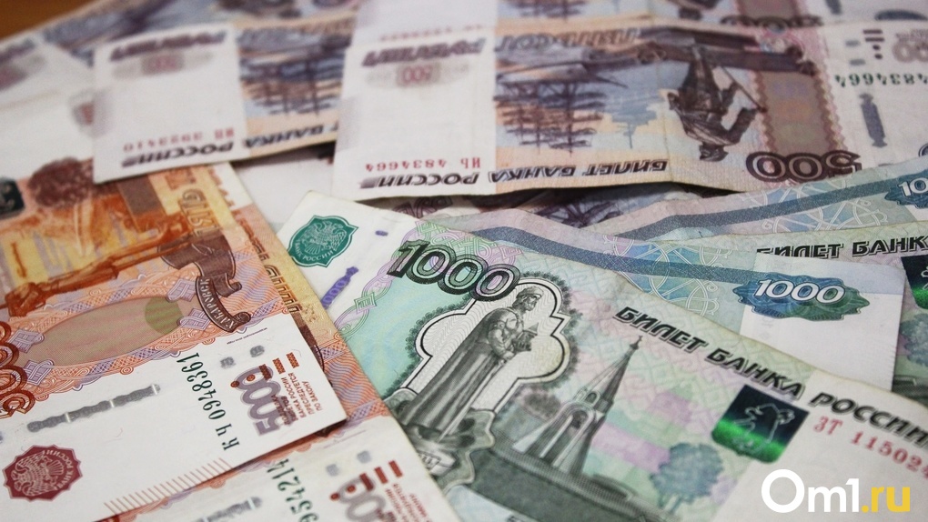 Свыше 11 тысяч новосибирских компаний исключила налоговая из госреестров