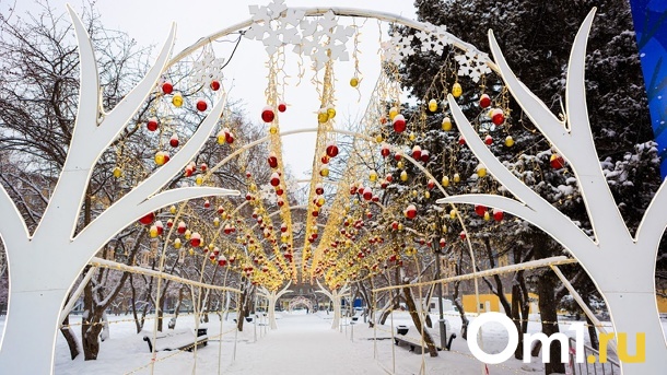 Сотня детей из Донбасса проведёт новогодние праздники в Новосибирске