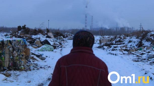 Чем дышат новосибирцы: опасные вещества в воздухе превышены в два раза