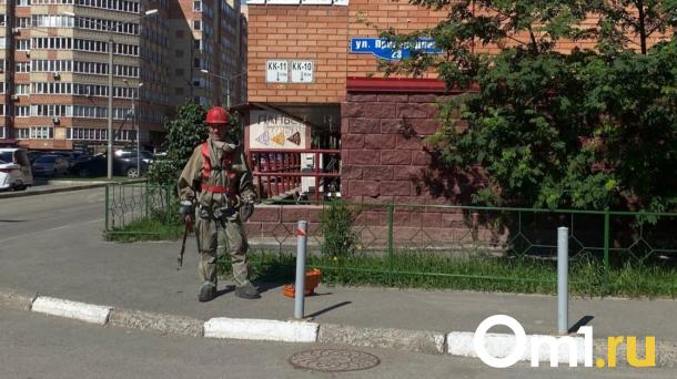 Мусор и бесхозяйственность: названы причины затопления домов на Пригородной
