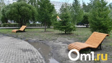 «Разберёмся»: Сергей Шелест пообещал взять на контроль благоустройство сквера на Гашека