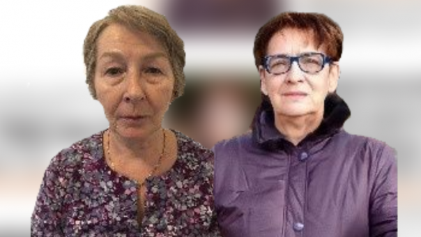 Две пенсионерки из СНТ «Звёздочка» пропали под Новосибирском