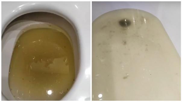 Жильцы дома в Новосибирске пожаловались на подъём воды в унитазе