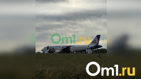 Губернатор Новосибирской области прокомментировал экстренную посадку самолёта в поле