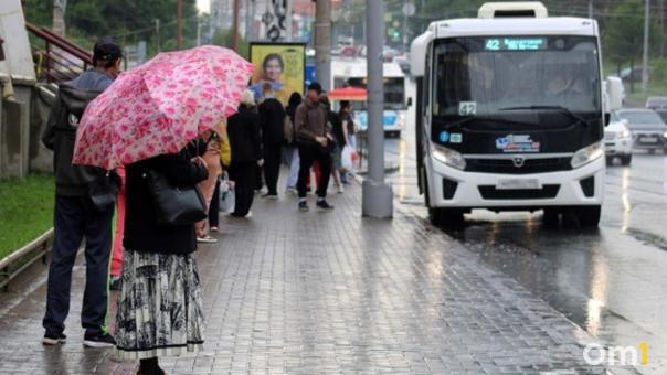 Заморозки до 3 °C и дожди ударят по Новосибирской области