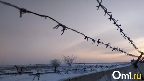 Воспользовался окном: в Омске задержали квартирного вора