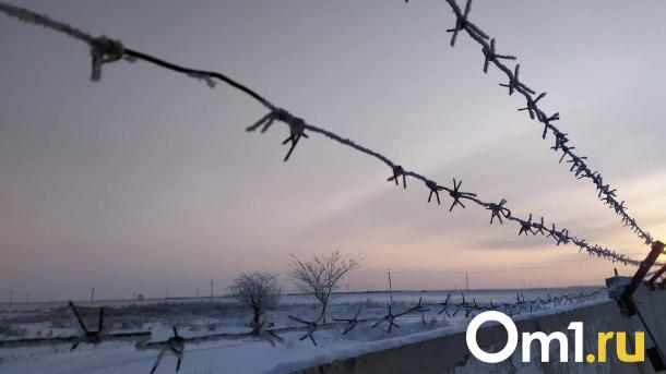 Воспользовался окном: в Омске задержали квартирного вора