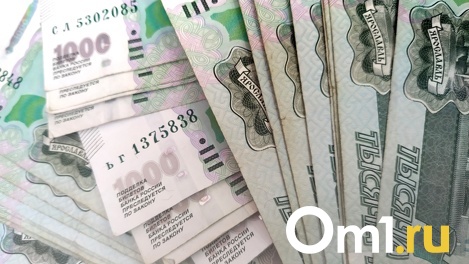 Новосибирская область получит 52 млн рублей на выплаты многодетным семьям