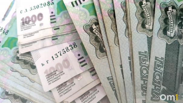Новосибирская область получит 52 млн рублей на выплаты многодетным семьям