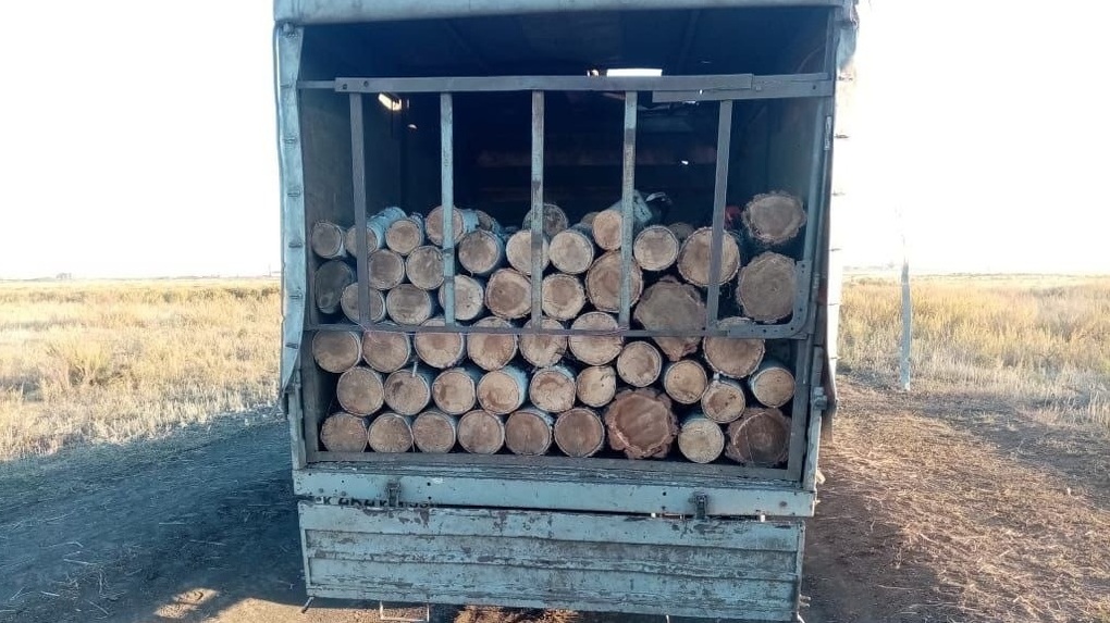 Топить же печку чем-то нужно. В Омской области задержали мужчину с полным кузовом дров
