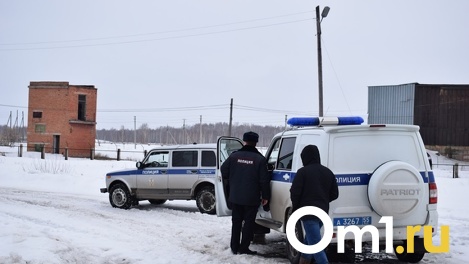 Житель Ханты-Мансийска приехал в Омскую область и убил своего брата, работающего вахтовиком
