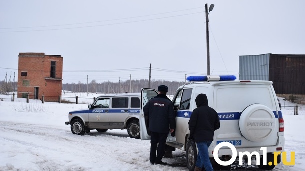 Житель Ханты-Мансийска приехал в Омскую область и убил своего брата, работающего вахтовиком