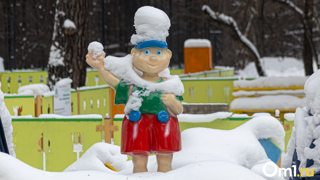 Город завали снегом: погодные аномалии придут в Новосибирск вместе с потеплением