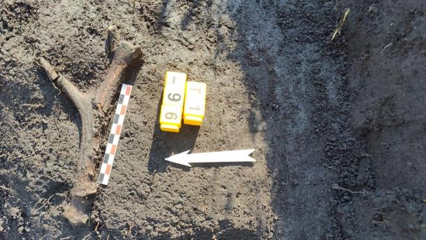 Археологи обнаружили в Омской области «многоразовые» погребения