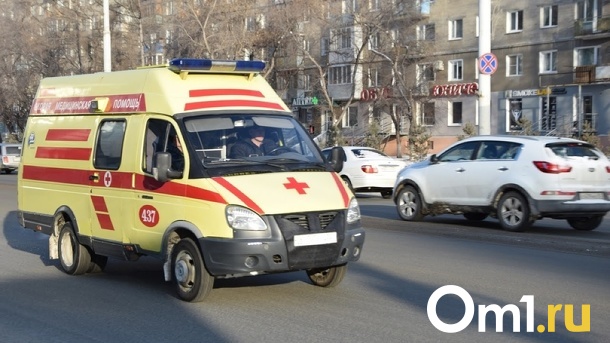 2-летняя девочка выпала из окна пятого этажа в Новосибирске
