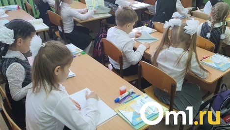 В Новосибирске Следственный комитет начал проверку после сообщений о минировании школ