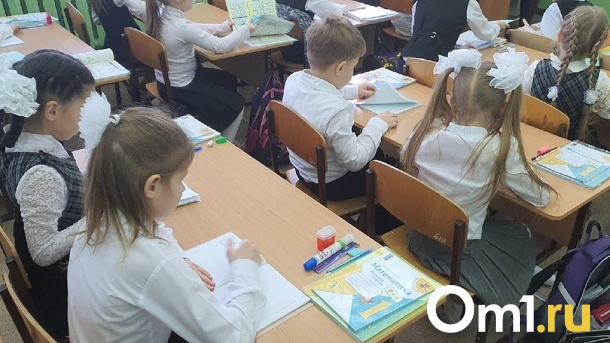 В Новосибирске Следственный комитет начал проверку после сообщений о минировании школ
