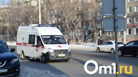 Травмировала спину: новосибирская школьница ушибла позвоночник, катаясь на лошади