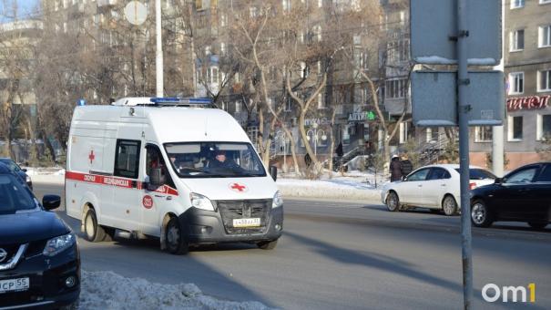Травмировала спину: новосибирская школьница ушибла позвоночник, катаясь на лошади