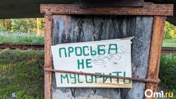 В Омске начали разыскивать горожан, неспособных соблюдать чистоту на улицах