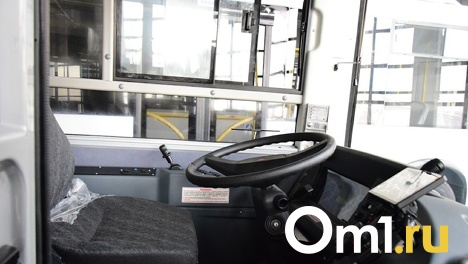 С февраля в пригородных маршрутках Омской области повысят стоимость проезда