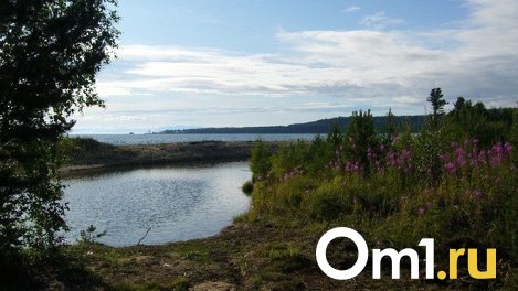 В Омске в Иртыш выпустили партию стерляди