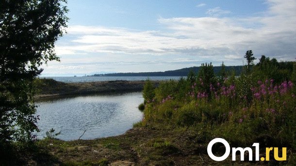 В Омске в Иртыш выпустили партию стерляди
