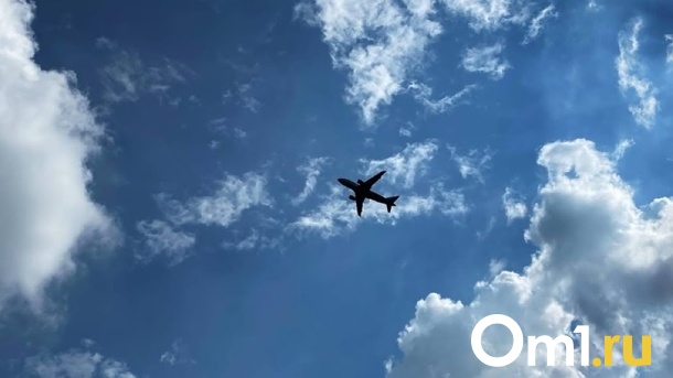 Омичи смогут летать прямым рейсом в Сочи и Норильск