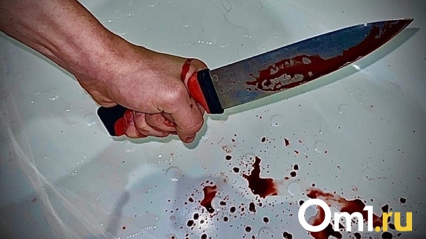 Новосибирец зарезал экс-супругу на глазах у ребёнка, а затем убил 8-летнюю дочь